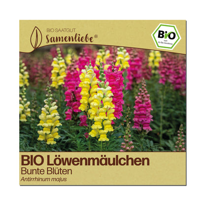 BIO Löwenmäulchen "Bunte Blüten"