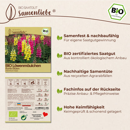 BIO Löwenmäulchen "Bunte Blüten"