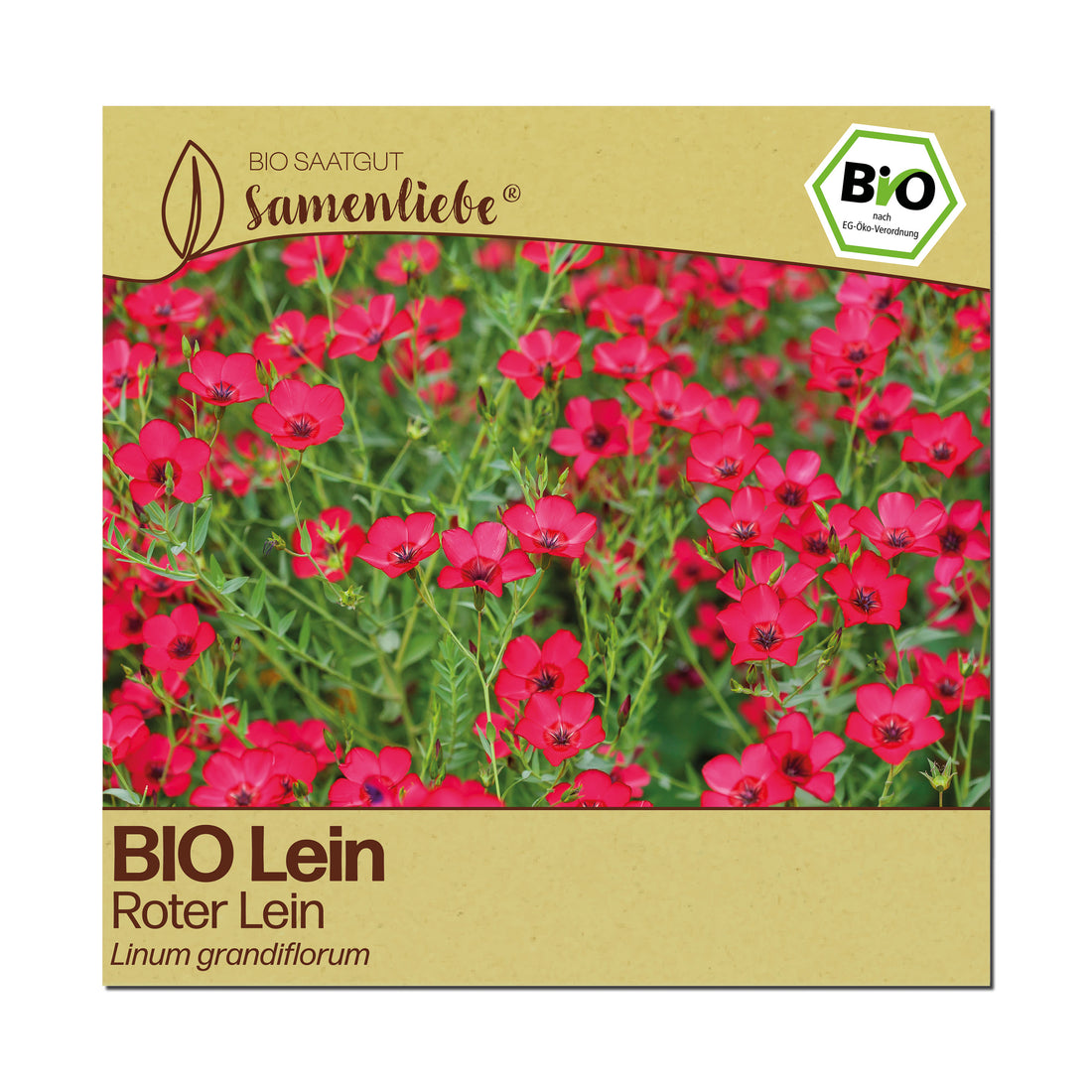 BIO Lein "Roter Lein"