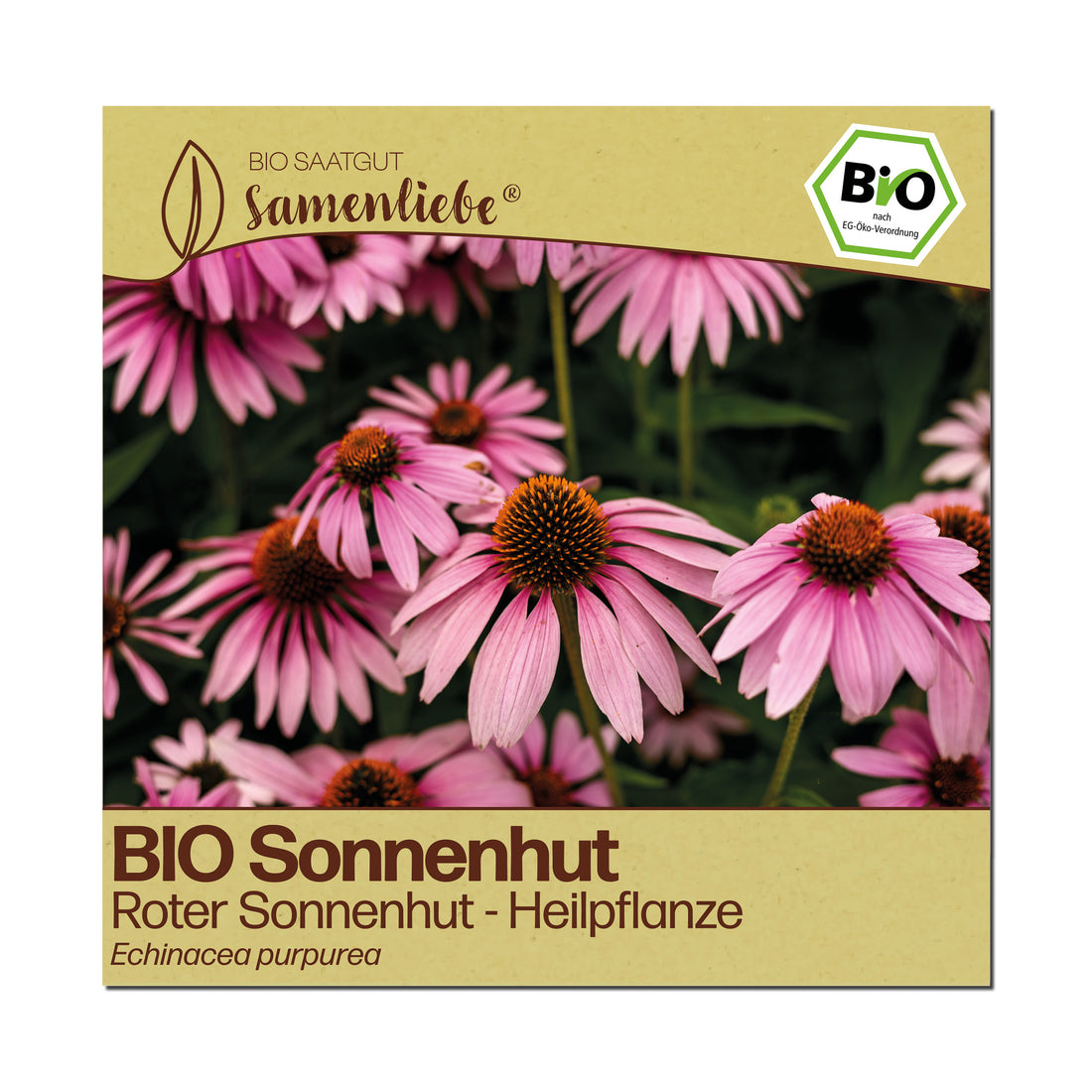 BIO Sonnenhut "Roter Sonnenhut"
