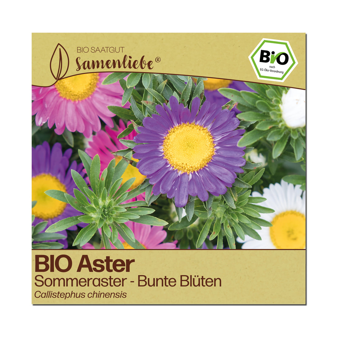 BIO Aster "Sommeraster"