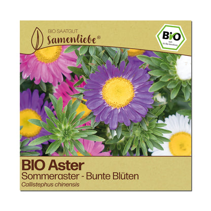 BIO Aster "Sommeraster"