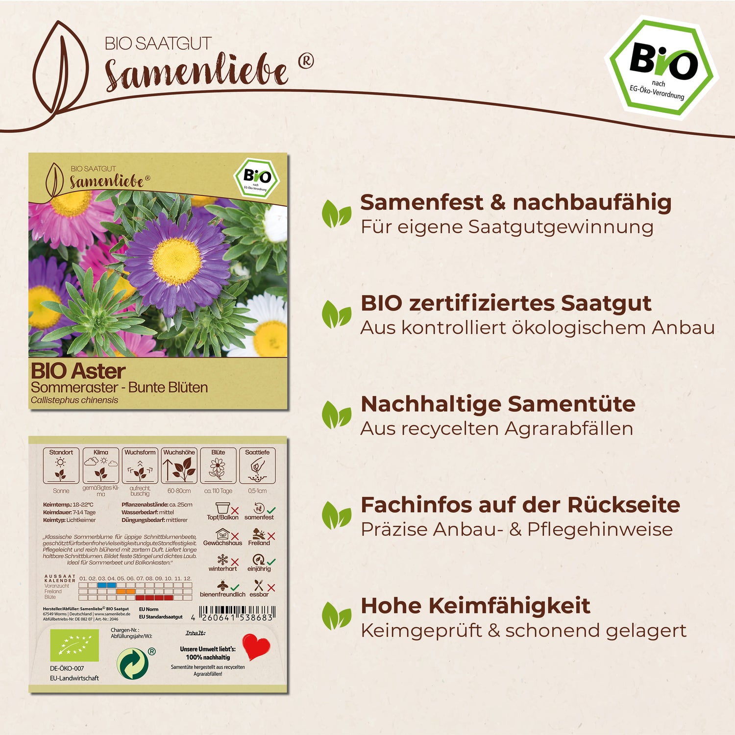 BIO Aster "Sommeraster"