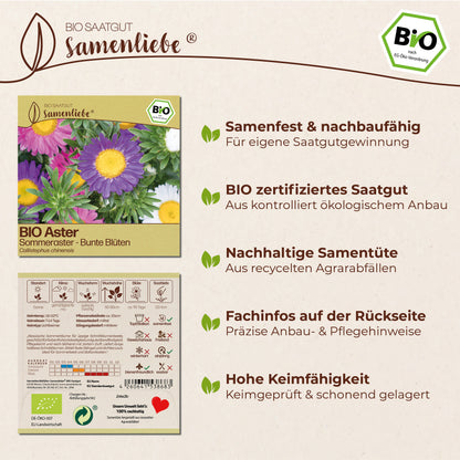 BIO Aster "Sommeraster"