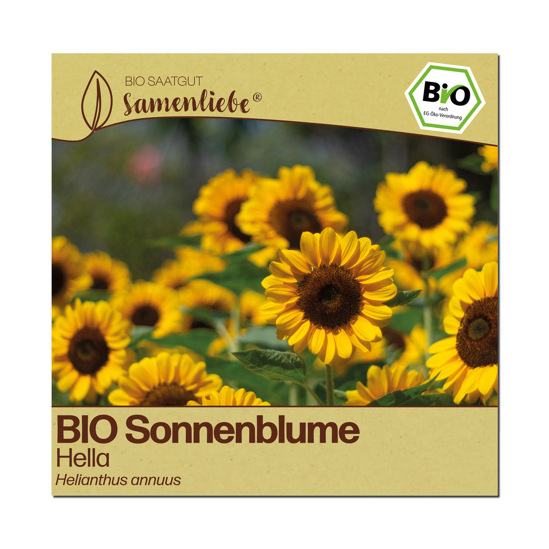 BIO Sonnenblume "Hella"