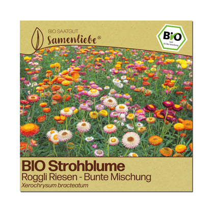 BIO Strohblume "Roggli Riesen"