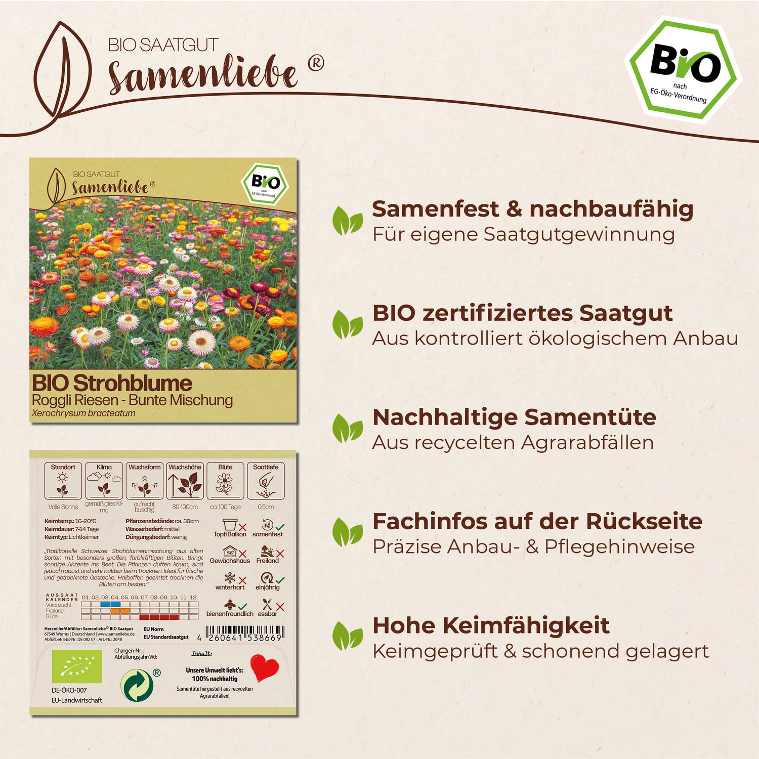 BIO Strohblume "Roggli Riesen"
