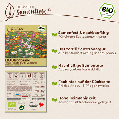 BIO Strohblume "Roggli Riesen"