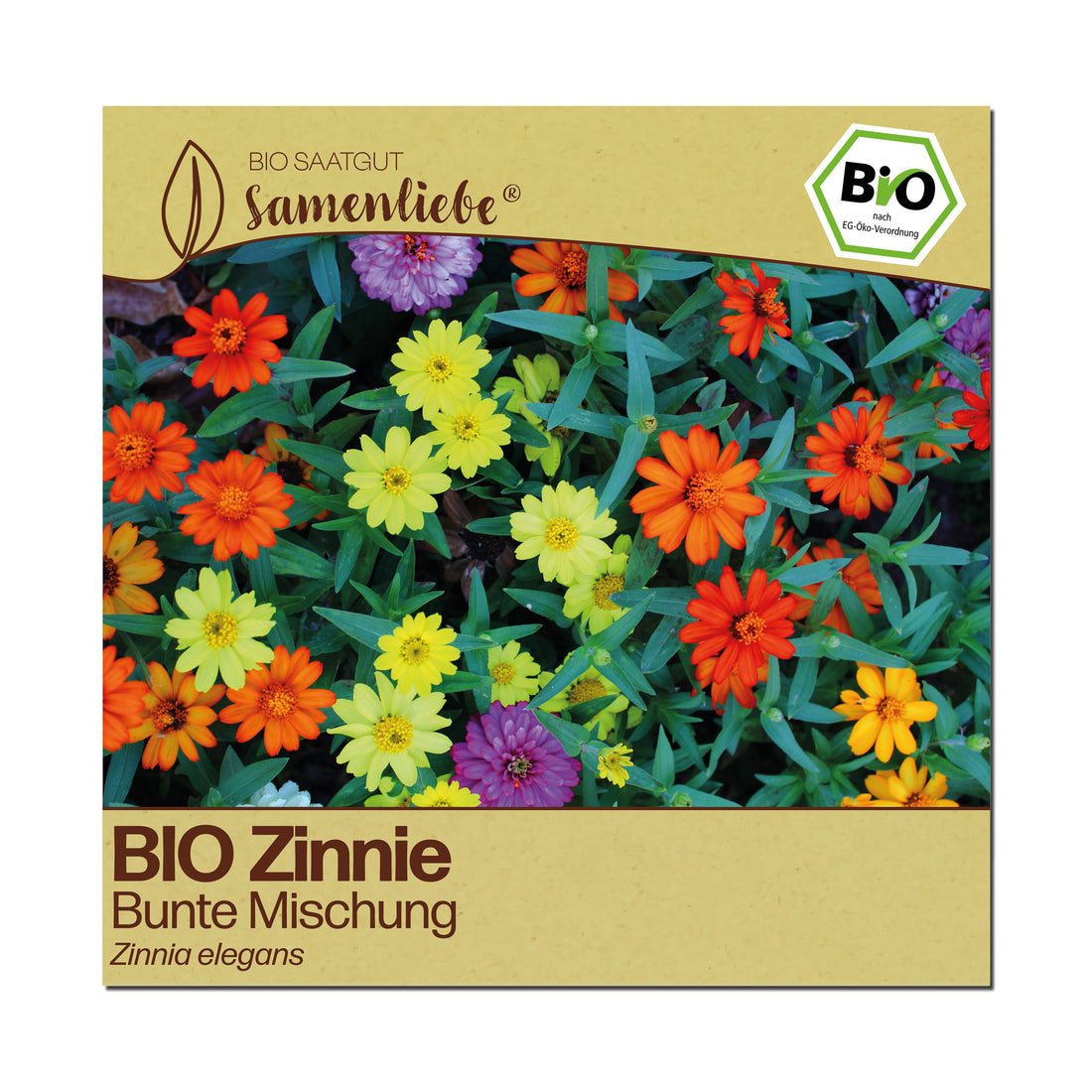 BIO Zinnie "Zierblume"
