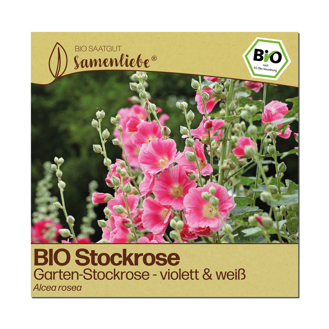 BIO Stockrose "Garten-Stockrose"