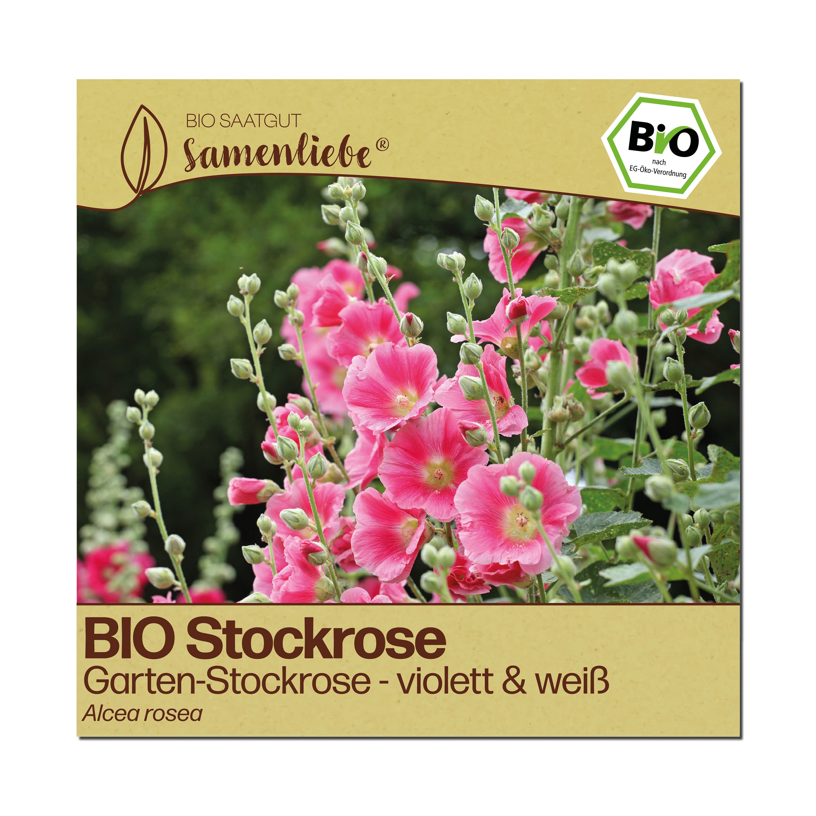 BIO Stockrose "Garten-Stockrose"