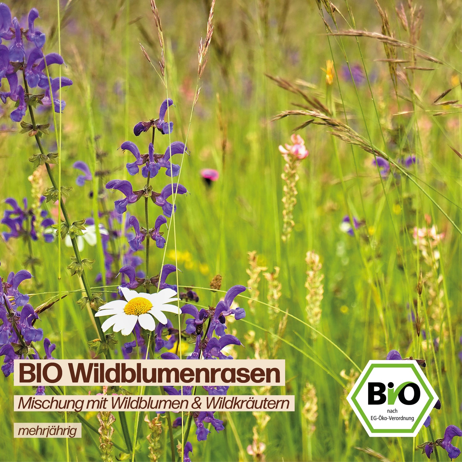 BIO Wildblumenrasen "Mischung mit Wildblumen &amp; Wildkräutern"