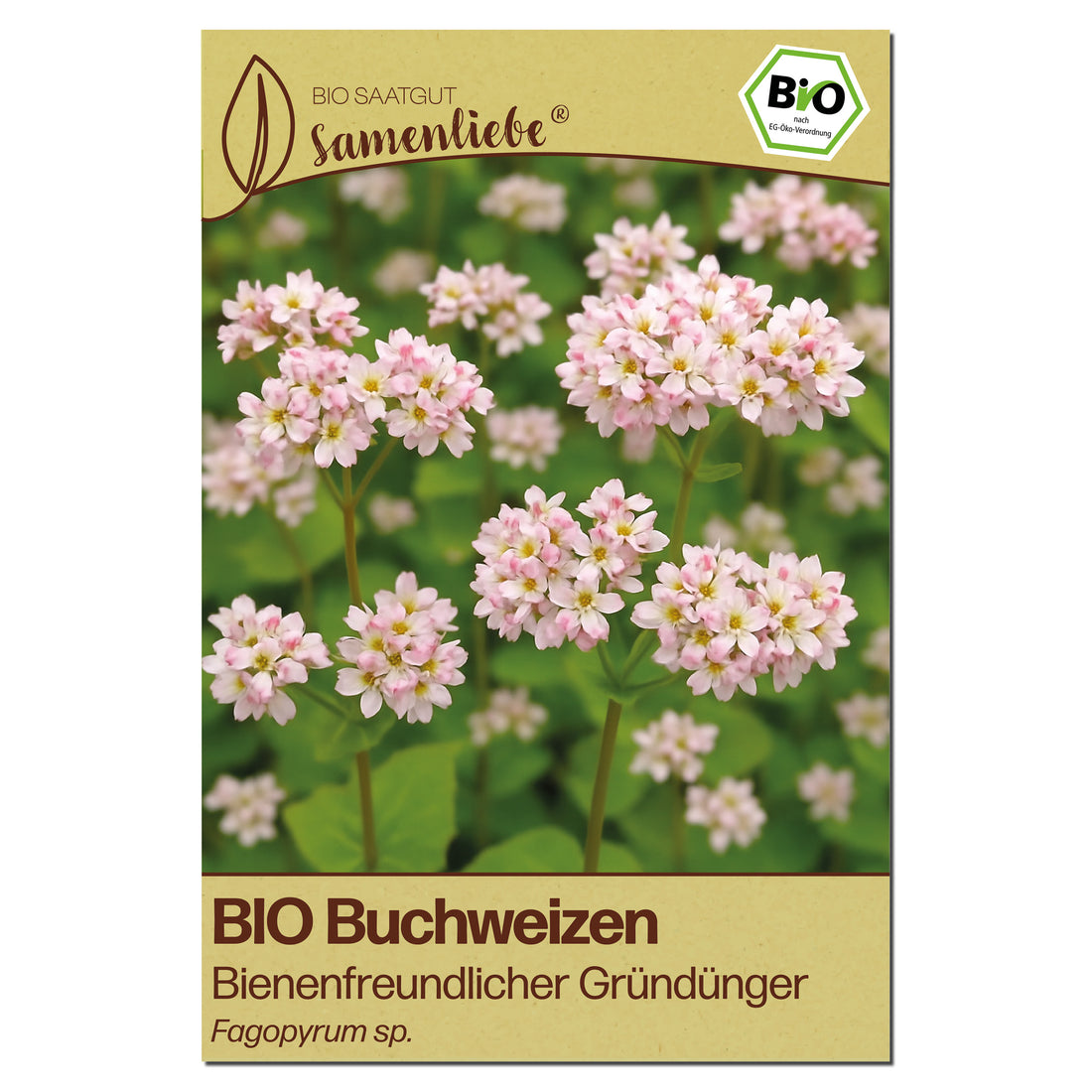 BIO Buchweizen "Gründünger &amp; Bienenpflanze"