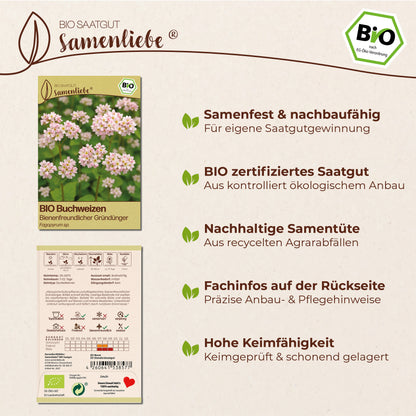 BIO Buchweizen "Gründünger &amp; Bienenpflanze"