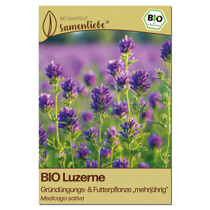 BIO Luzerne Samen